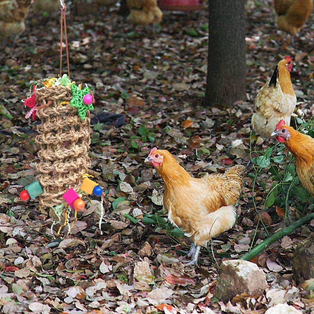 toys for chickens