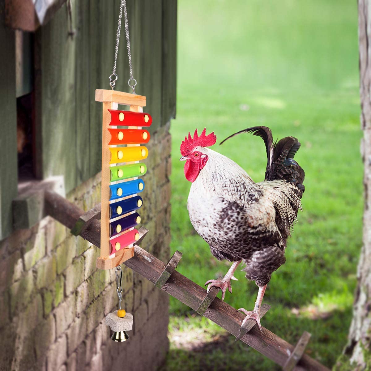 toys for chickens