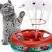 interactive cat toy