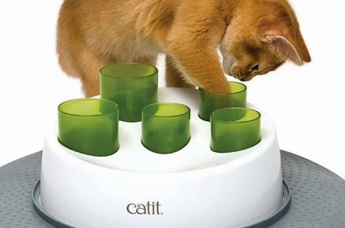 toy for cats