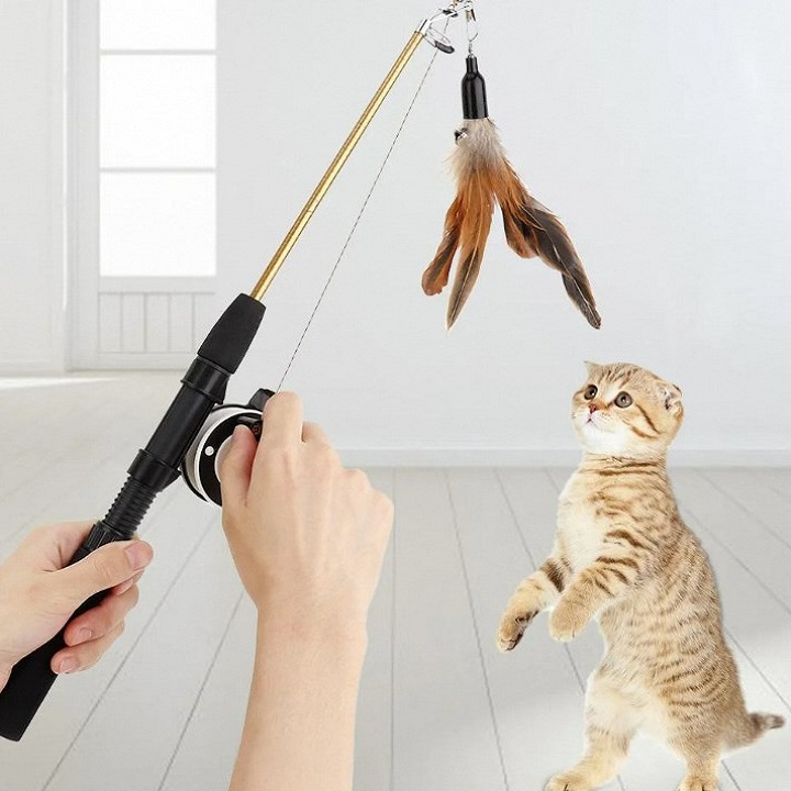 toy for cats