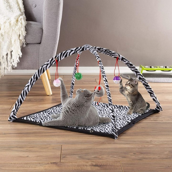 toy for cats