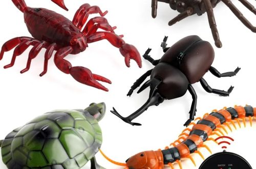 Robot bug toys