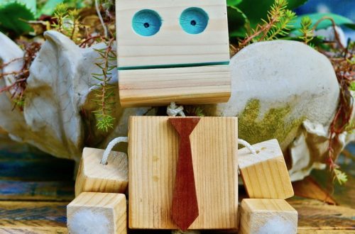 Wooden robot kits