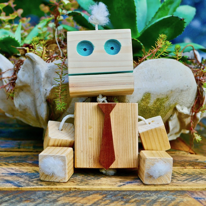 Wooden robot kits